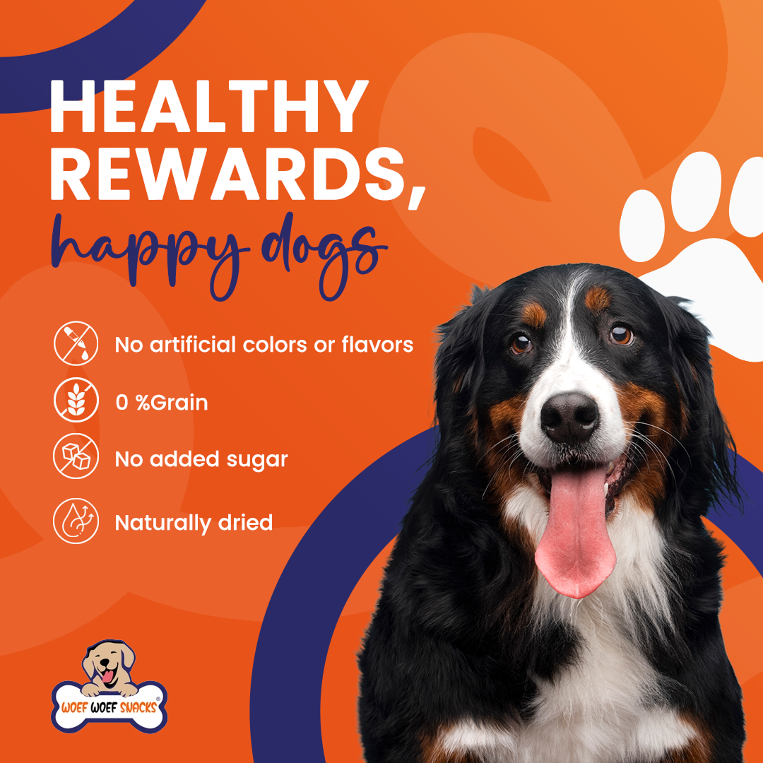 Waarom Kiezen voor 100% Natuurlijke Snacks voor je Hond? Ontdek de Gezondheids-voordelen! - Woefwoefsnacks
