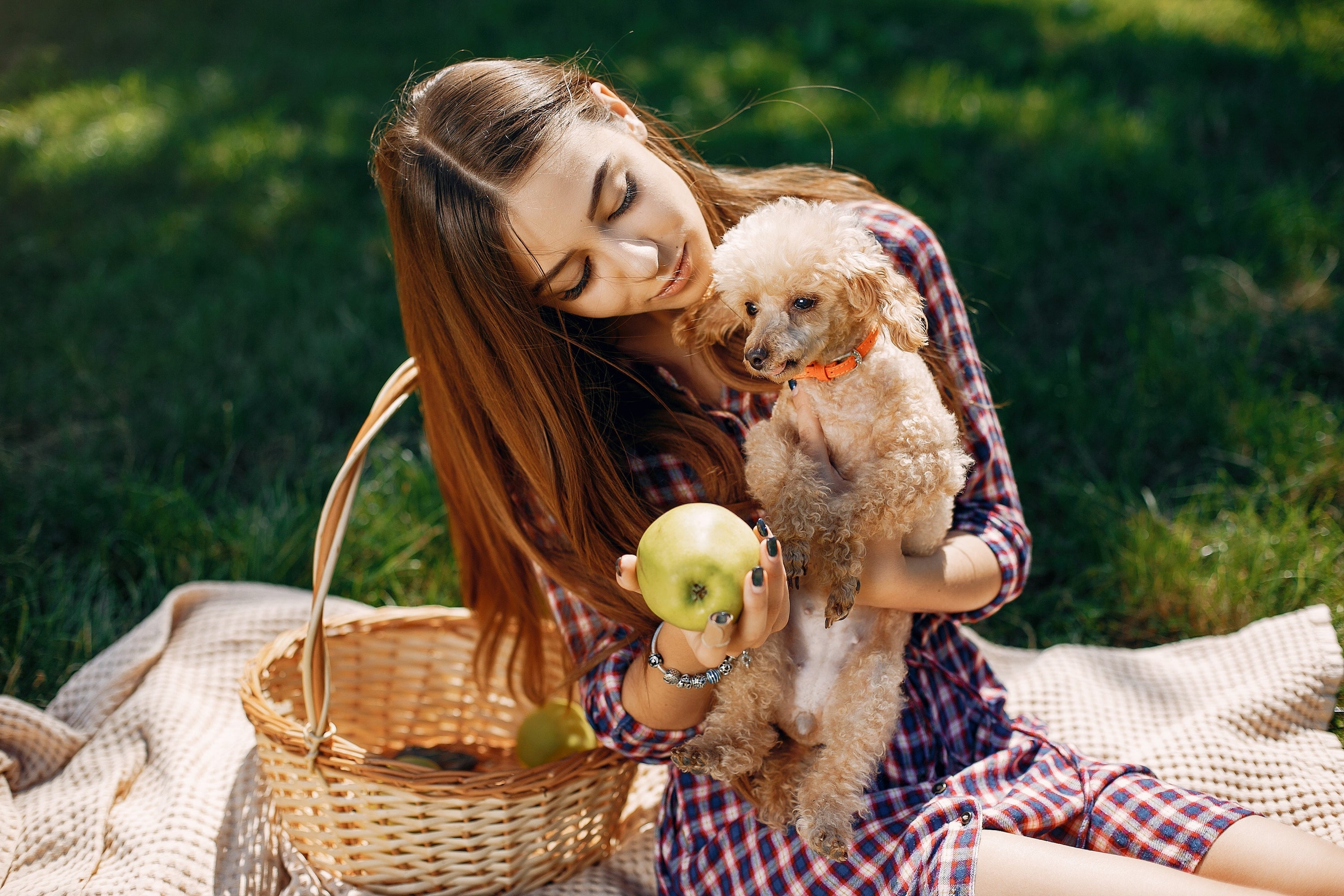 5 tekenen dat je hond gezond is - Woefwoefsnacks