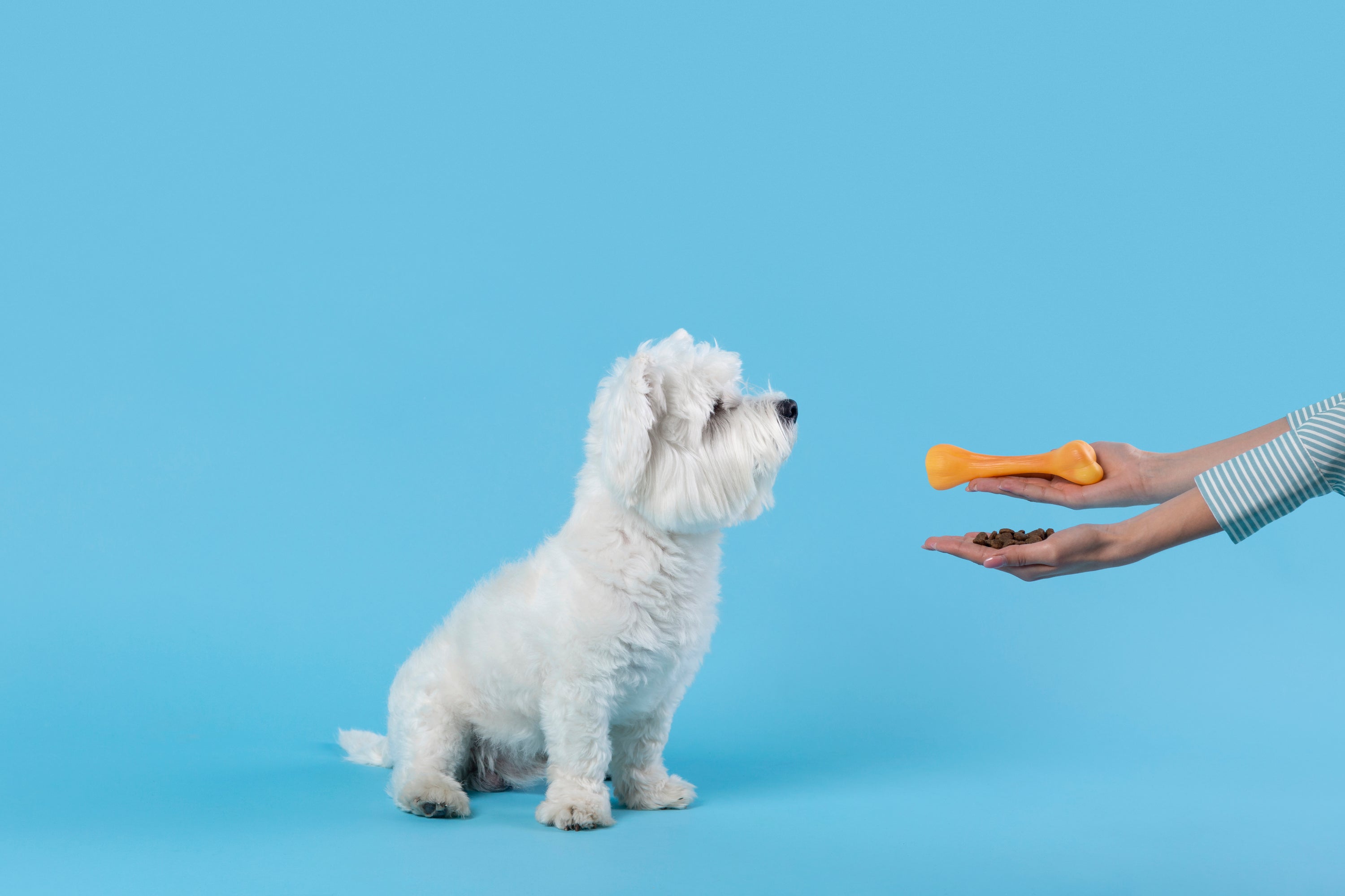 Welke snacks zijn goed voor mijn hond? - Woefwoefsnacks