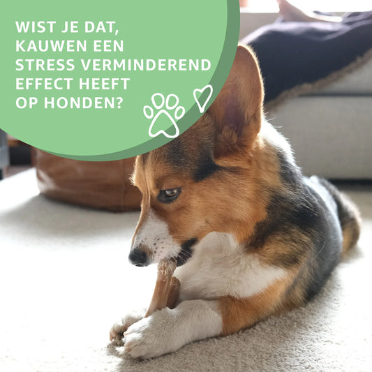 Konijnenoren met vacht - Woefwoefsnacks