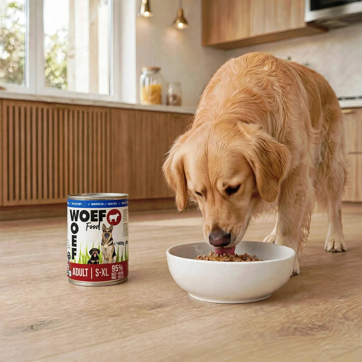 een afbeelding van een Golden Retriever die het natvoer rund uit zijn bak eet. Met naast zijn bak het blik natvoer rund van Woef Woef.