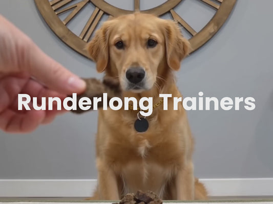 Beef Lung Trainers